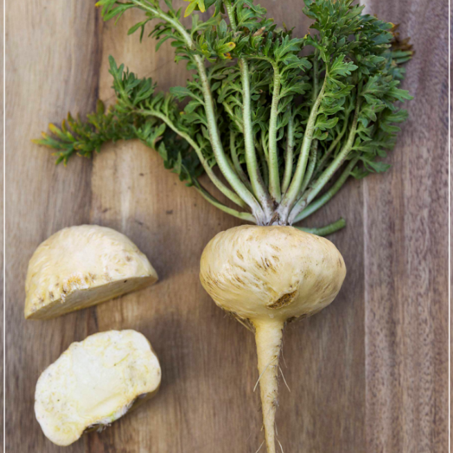 maca